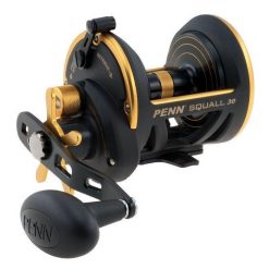 Overhead Reels Penn Squall 30 Star Drag Overhead Fishing Reel
