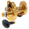 Penn Fishing Reels Penn Torque 30 LD 2 Speed Overhead Fishing Reel